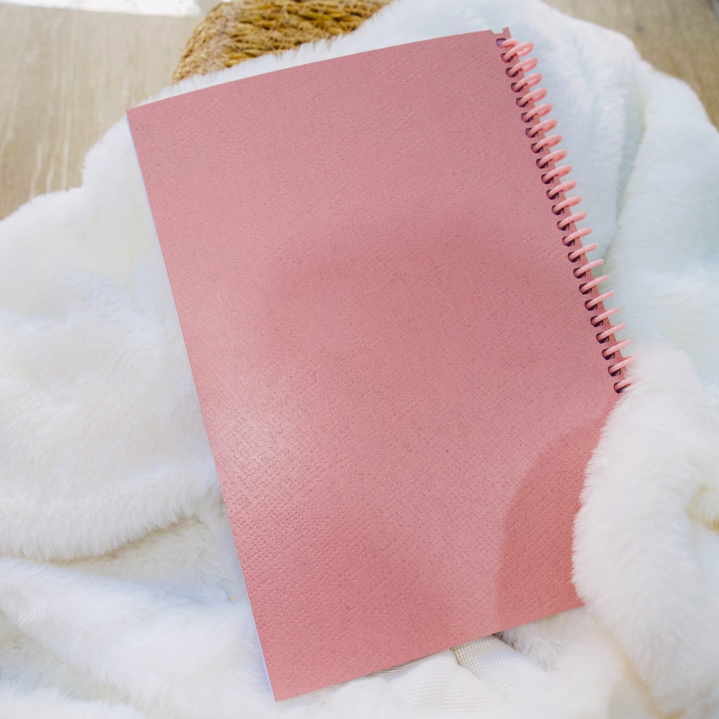 Diario de Estudio Bíblico – Método SOAP